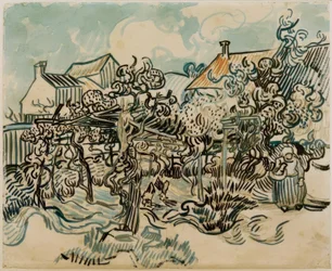 Vecchio vigneto con contadina