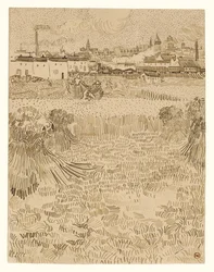 Arles: vista dai campi di grano