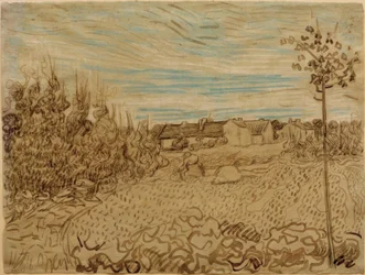 Casale in un campo