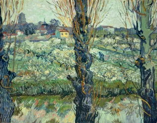 Vista su Arles