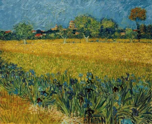 Vista di Arles con iris in primo piano