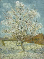 Pesco in fiore (rosa). Arles, aprile-maggio 1888