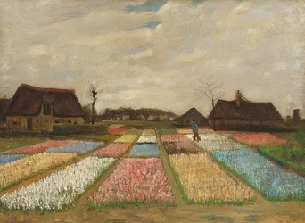 Aiuole fiorite in Olanda. Intorno al 1883