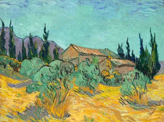 Capanni di legno tra gli ulivi e cipressi