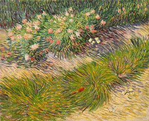 Angolo di giardino con farfalle