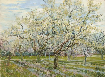 Il frutteto bianco. 1888