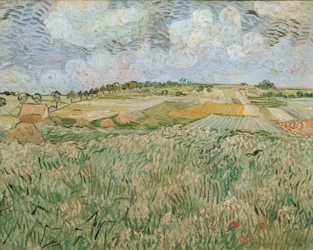 La pianura di Auvers con nuvole di pioggia