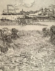 Il raccolto