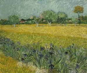 Campo con iris vicino ad Arles