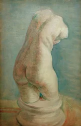 Torso in gesso (femminile) visto di schiena
