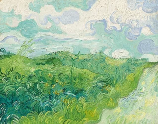Campi di grano verde, Auvers. 1890