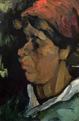 Testa di un contadino olandese, 1884