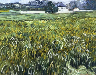 Casa ad Auvers