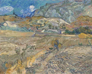 Paesaggio a Saint-Rémy (Campo recintato con contadino)