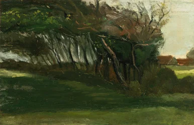 Paesaggio con alberi mossi dal vento