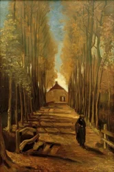 Viale di pioppi in autunno