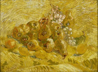Mele cotogne, limoni, pere e uva