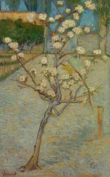 Piccolo albero di pero in fiore