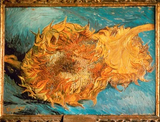 Girasoli (dipinto su tela)