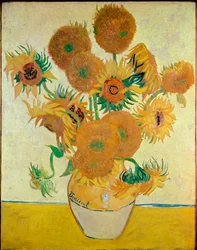Girasoli