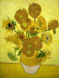 Girasoli