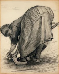 Il raccoglitore di carote