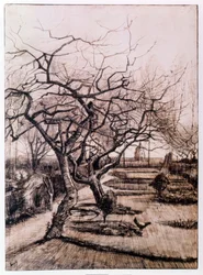 Il giardino del parroco a Nuenen in inverno (1884)