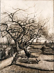 Il giardino della canonica a Nuenen in inverno