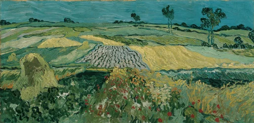 La pianura di Auvers, 1890