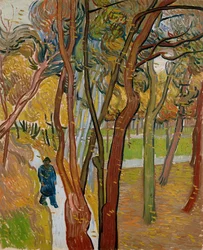 Il giardino dell