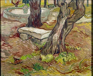 Il parco del manicomio di Saint Paul a Saint-Remy o Panchina di Pietra