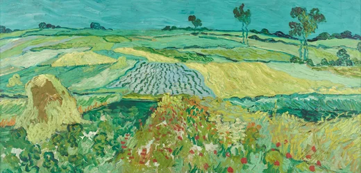 La pianura vicino ad Auvers