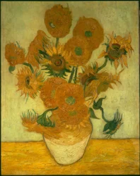 Quattordici girasoli in un vaso
