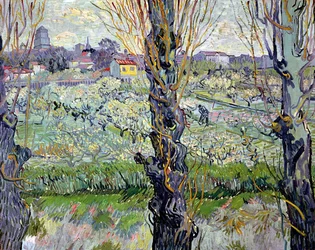 Veduta di Arles
