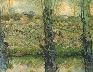 Veduta di Arles, 1889, 1947