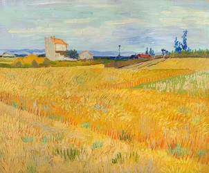 Campo di grano, 1888