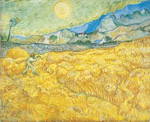 Campo di grano dietro l