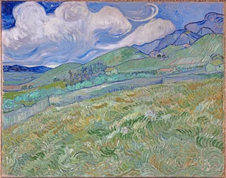 Campo di grano e montagne