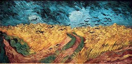 Campo di grano con corvi