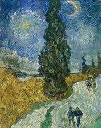 Sentiero di cipressi sotto il cielo stellato