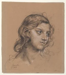 Ritratto di un Giovane