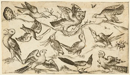 Undici uccelli e due insetti su terreno minimale con gufo con ali spiegate..., 1572