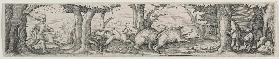 Caccia al cinghiale