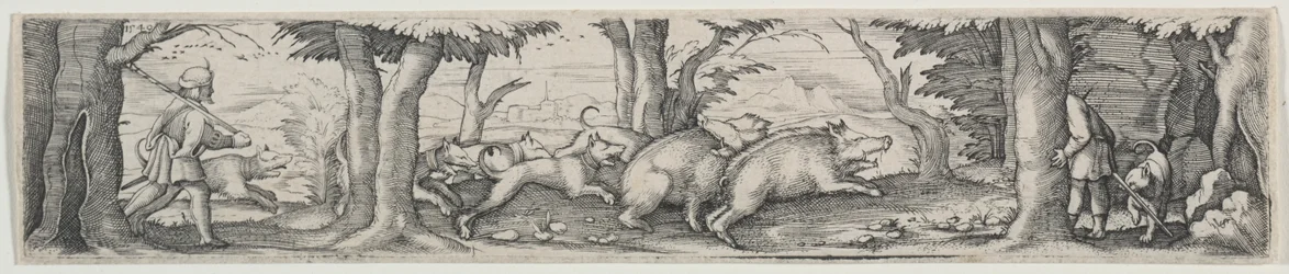 Caccia al Cinghiale