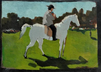 Cavallo bianco con fantino