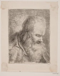 Vecchio barbuto, busto