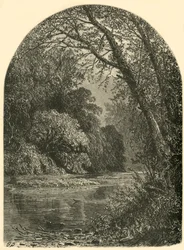 Isole di muschio, nel Juniata, 1874