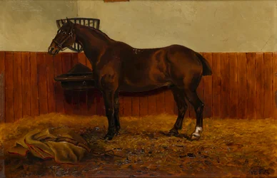 Il vecchio Cob in una stalla