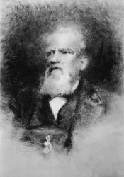 Ritratto di Alberto Mazzucato (1813-1877), compositore italiano, incisione