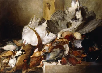 Una natura morta di uccelli morti; un airone appeso a un muro, anatra, fagiano, pernice, beccaccia, un cigno e un piccione con una lepre, 1845